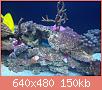         

:  IMG_2011.JPG
:  625
:  149,6 KB