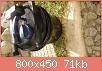         

:  DSC_1815.jpg
:  240
:  70,9 KB