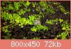         

:  uploadfromtaptalk1454952230578.jpg
:  223
:  72,0 KB