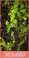         

:  uploadfromtaptalk1454952240362.jpg
:  205
:  48,2 KB