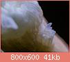         

:  kor002.jpg
:  1195
:  41,4 KB
