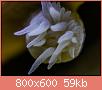         

:  kor005.jpg
:  1255
:  58,9 KB