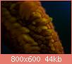         

:  kor008.jpg
:  1197
:  44,1 KB