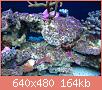         

:  10023.JPG
:  626
:  164,0 KB