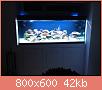         

:  IMG_2123.jpg
:  599
:  41,7 KB