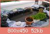         

:  DSC_1828.jpg
:  315
:  52,3 KB
