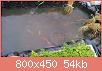         

:  DSC_1830.jpg
:  312
:  53,5 KB