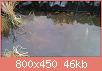         

:  DSC_1836.jpg
:  296
:  45,7 KB