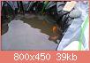         

:  DSC_1838.jpg
:  320
:  39,1 KB