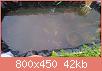         

:  DSC_1831.jpg
:  320
:  41,8 KB