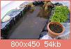        

:  DSC_1834.jpg
:  308
:  54,1 KB