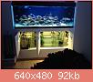         

:  IMG_2163.JPG
:  636
:  91,6 KB