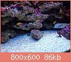         

:  Image-1.jpg
:  643
:  86,3 KB