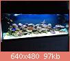         

:  IMG_2306.JPG
:  480
:  97,3 KB