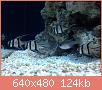         

:  IMG_2336.JPG
:  519
:  124,4 KB