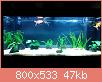         

:  aquarium_1.jpg
:  1920
:  47,3 KB