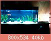         

:  aquarium_3.jpg
:  696
:  39,8 KB