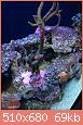         

:  IMG_2381.jpg
:  500
:  69,3 KB