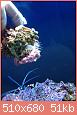         

:  IMG_2415.jpg
:  631
:  51,1 KB