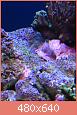         

:  IMG_2407.JPG
:  579
:  146,9 KB