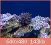         

:  IMG_2419.JPG
:  623
:  143,3 KB
