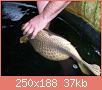         

:  fat_fish_0710-01.jpg
:  292
:  37,3 KB