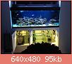         

:  IMG_2464.JPG
:  627
:  95,5 KB