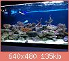         

:  IMG_2459.JPG
:  637
:  134,6 KB