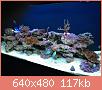         

:  IMG_2477.JPG
:  584
:  117,4 KB
