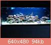         

:  IMG_2522.JPG
:  701
:  93,7 KB