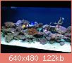         

:  IMG_2523.JPG
:  624
:  121,5 KB
