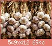         

:  garlic.jpg
:  459
:  68,9 KB