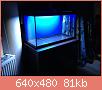         

:  IMG_2566.JPG
:  620
:  80,9 KB