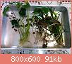         

:  plants.jpg
:  1212
:  91,3 KB