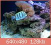         

:  IMG_2708.JPG
:  586
:  127,5 KB