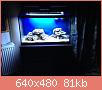         

:  1060.JPG
:  375
:  81,4 KB