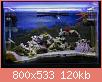         

:  apr01.jpg
:  573
:  119,9 KB