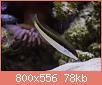         

:  apr05.jpg
:  475
:  78,4 KB