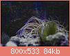         

:  apr09.jpg
:  487
:  84,3 KB