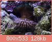        

:  apr10.jpg
:  495
:  127,7 KB