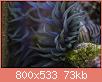         

:  apr12.jpg
:  485
:  73,2 KB