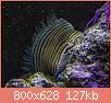         

:  apr13.jpg
:  561
:  127,4 KB