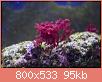         

:  apr15.jpg
:  493
:  95,2 KB