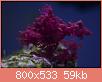         

:  apr16.jpg
:  477
:  59,2 KB