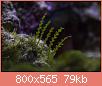         

:  apr18.jpg
:  477
:  78,9 KB