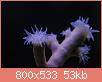         

:  apr22.jpg
:  412
:  52,7 KB