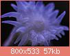         

:  apr23.jpg
:  460
:  57,4 KB