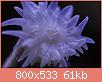         

:  apr24.jpg
:  452
:  60,6 KB