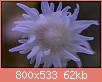         

:  apr25.jpg
:  442
:  62,0 KB