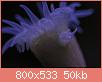         

:  apr26.jpg
:  408
:  50,1 KB